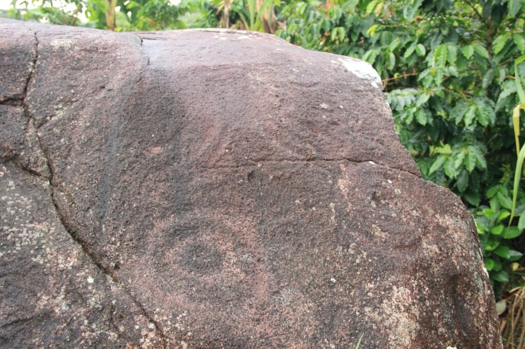 WhatsApp Image 2025-11-07 at 7.35.55 AM (1)